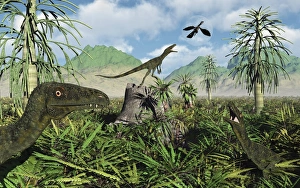 Carnivorous Juravenators hunting during the Jurassic Period of time Carnivorous Juravenators hunting during the Jurassic Period of time