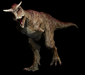 Carnivorous Theropod Dinosaurs Prints: Carnotaurus dinosaur on black background