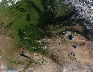 The change in vegetation between Russia and northern Mongolia The change in vegetation between Russia and northern Mongolia