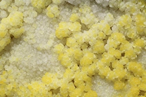 Close-up of yellow salt crystals in the Dallol geothermal area, Danakil Depression Close-up of yellow salt crystals in the Dallol geothermal area, Danakil Depression