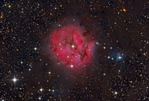 Emission Nebula Images Prints: Cocoon Nebula