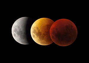 Lunar Eclipse Photography Prints: Composite image of lunar eclipse, Victoria, Australia