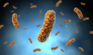Gram Positive Bacteria Prints: Conceptual image of the Bacillus bacteria