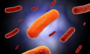 Medical Microbiology Prints: Conceptual image of the Bacillus bacteria