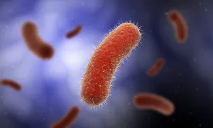 Gram Positive Bacteria Prints: Conceptual image of the Bacillus bacteria