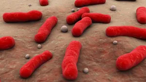 Gram Positive Bacteria Prints: Conceptual image of the Bacillus bacteria