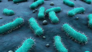 Medical Microbiology Prints: Conceptual image of the Bacillus bacteria