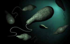 Euglena Conceptual Print