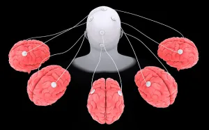 Central Nervous System Anatomy Prints: Conceptual image of multi-brain processing