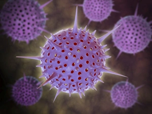 Conceptual image of Radiolarians with a skeletal frame Conceptual image of Radiolarians with a skeletal frame