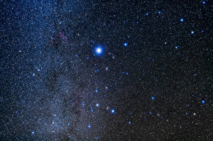 Canis Major Constellation Prints: The constellation of Canis Major