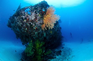 The coral encrusted stern of the Japanese Cross Wreck The coral encrusted stern of the Japanese Cross Wreck