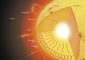 Sun Cutaway View Print