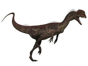 Dilophosaurus, a predatory dinosaur from the Jurassic period Dilophosaurus, a predatory dinosaur from the Jurassic period