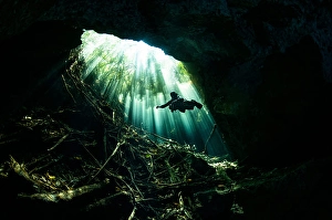 Sunlight Underwater Prints: A diver explores a cavern illuminated by sunlight