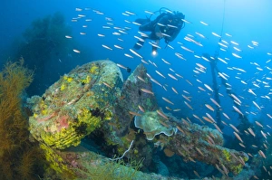 A diver explores the wreck of a Japanese Maru warship, Solomon Islands A diver explores the wreck of a Japanese Maru warship, Solomon Islands