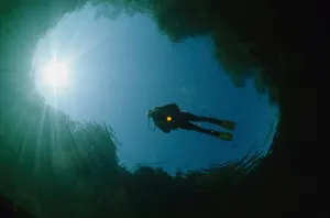 Scuba Diving Images Prints: Diver floating on the river surface while sunrays shine down from above