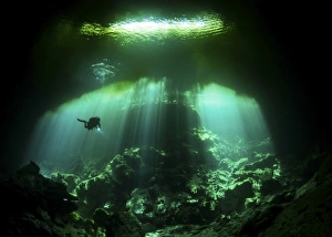 A diver in the Garden of Eden cenote system in Mexico A diver in the Garden of Eden cenote system in Mexico