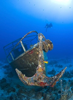 Divers visit the Pelicano shipwreck on the bottom of the Caribbean Sea Divers visit the Pelicano shipwreck on the bottom of the Caribbean Sea