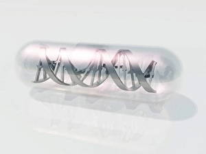 Double Helix Structure Prints: DNA Capsule