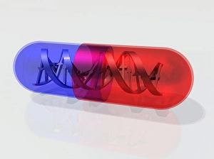 DNA Structure Prints: DNA Capsule