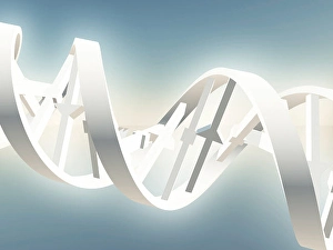Double Helix Structure Prints: DNA Strand. 3D rendering