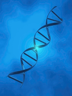 DNA Double Helix Prints: DNA Strand in blue light