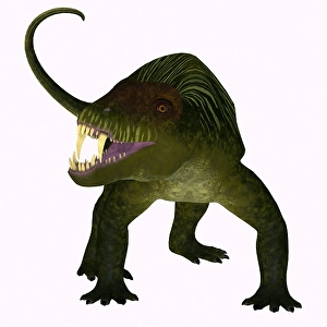 Mesozoic Era Dinosaurs Prints: Doliosauriscus dinosaur, front view