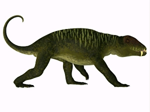 Mesozoic Era Dinosaurs Prints: Doliosauriscus dinosaur, side view