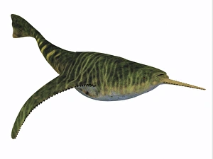 Doryaspis is an extinct genus of primitive jawless fish Doryaspis is an extinct genus of primitive jawless fish