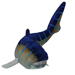 Prehistoric Sea Life Prints: Dunkleosteus fish, front view