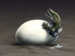 An early dinosaur ancester, Seymouria, hatches from an egg An early dinosaur ancester, Seymouria, hatches from an egg