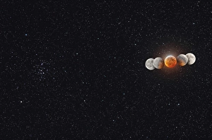 Lunar Eclipse Prints: Eclipsed moon and umbral shadow