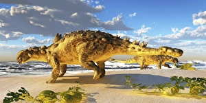Euoplocephalus dinosaurs munch on melons on an ocean beach Euoplocephalus dinosaurs munch on melons on an ocean beach