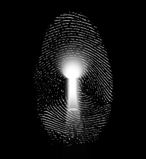 Security Measures Prints: Figerprint Lock