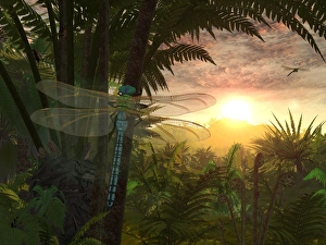 A giant Meganeura with a 30-inch wingspan witnesses a sunrise A giant Meganeura with a 30-inch wingspan witnesses a sunrise