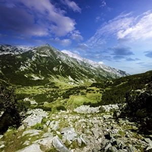 A green valley through Pirin Mountains, Pirin National Park, Bulgaria A green valley through Pirin Mountains, Pirin National Park, Bulgaria