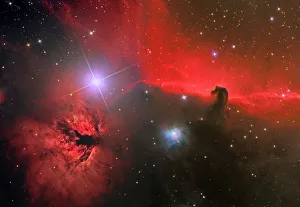 The Horsehead Nebula in the constellation Orion The Horsehead Nebula in the constellation Orion