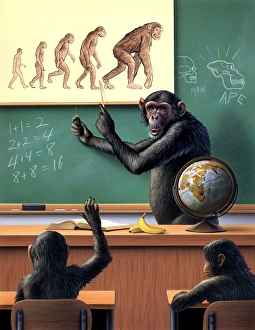 A Humorous View of the Reverse Evolution of Man Print