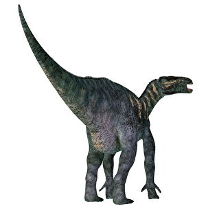 Herbivorous Dinosaurs Prints: Iguanodon dinosaur
