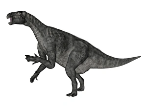 Iguanodon dinosaur rearing up, white background Iguanodon dinosaur rearing up, white background