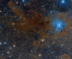 Stellar Evolution Process Prints: The Iris Nebula in Cepheus