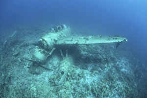 A Japanese Jake seaplane on the seafloor of Palaus lagoon A Japanese Jake seaplane on the seafloor of Palaus lagoon