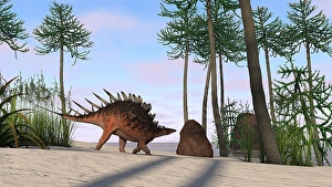 Jurassic Period Artwork Prints: Kentrosaurus walking across a prehistoric landscape