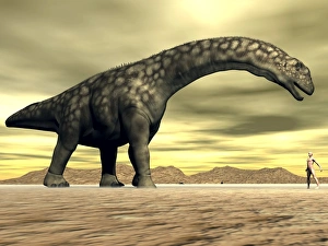 Large Argentinosaurus dinosaur face to face with a human Large Argentinosaurus dinosaur face to face with a human