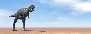 Large Aucasaurus dinosaur standing in the desert Large Aucasaurus dinosaur standing in the desert