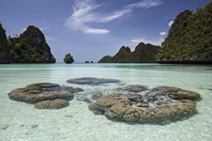 Limestone islands surround corals in a lagoon in Raja Ampat Limestone islands surround corals in a lagoon in Raja Ampat