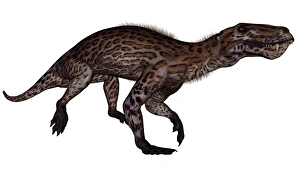 Lycaenops dinosaur walking, white background Lycaenops dinosaur walking, white background