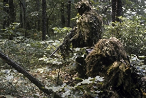 A Marine sniper team wearing camouflage ghillie suits A Marine sniper team wearing camouflage ghillie suits