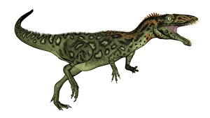 Cretaceous Era Dinosaurs Prints: Masiakasaurus dinosaur roaring